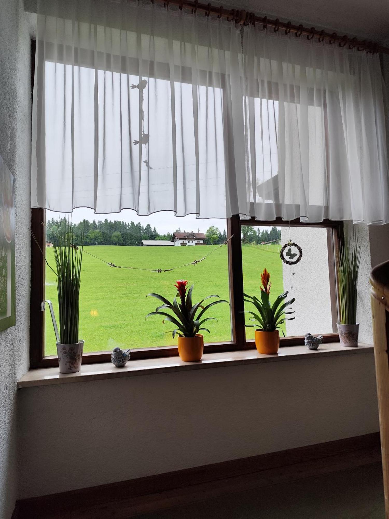 Privatzimmer Pendl Abtenau Exteriér fotografie
